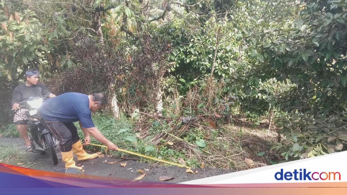 District Road in Sepang, Buleleng Collapses Due to Heavy Rain Erosion