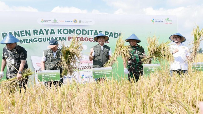 Pupuk Indonesia Becomes the Backbone of National Food Security