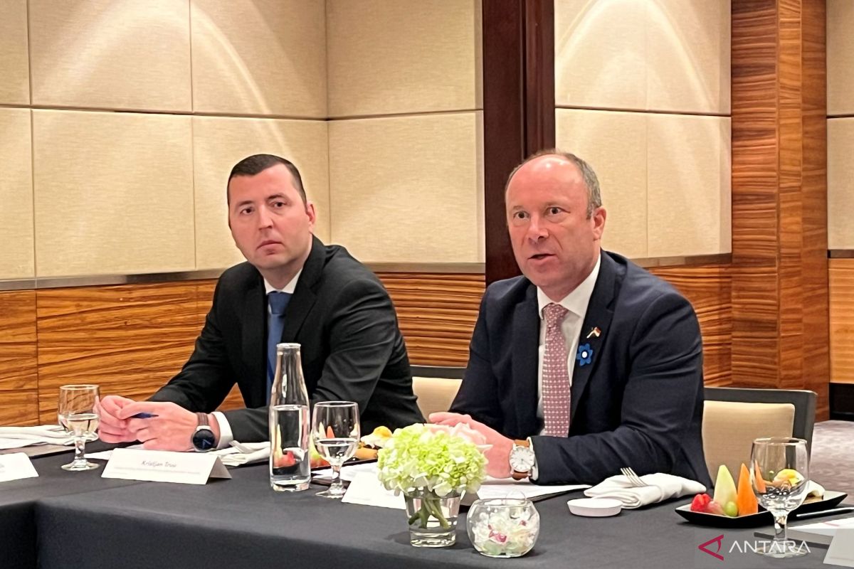 Kadin says more parties interested in learning digitalisation from Estonia