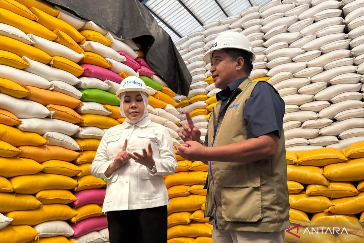 Inspecting Bulog Warehouse, DPR Member Assesses Rice Quality in North Kalimantan as Maintained