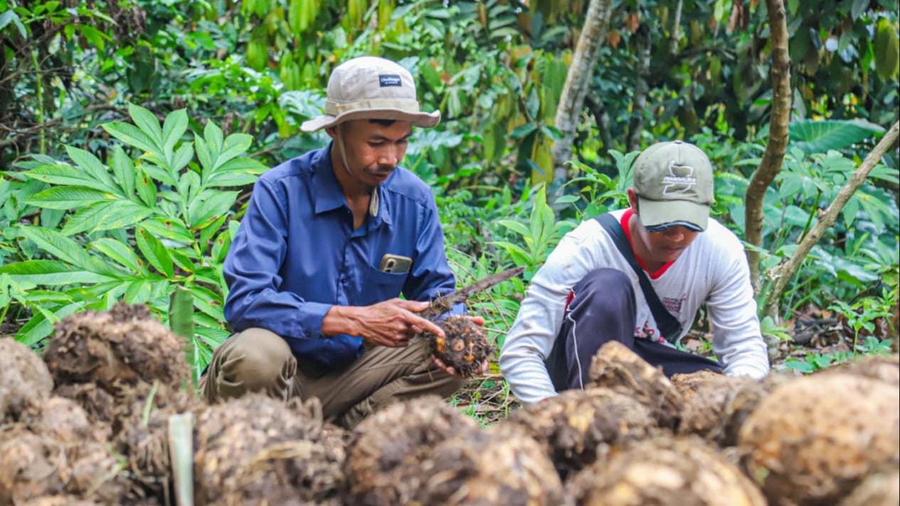 Astra Promotes Leading Commodities to Boost Local Communities' Income