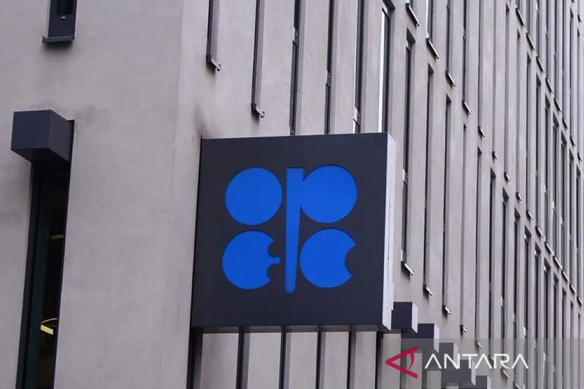 United Arab Emirates pledges to continue stabilising energy market after exiting OPEC