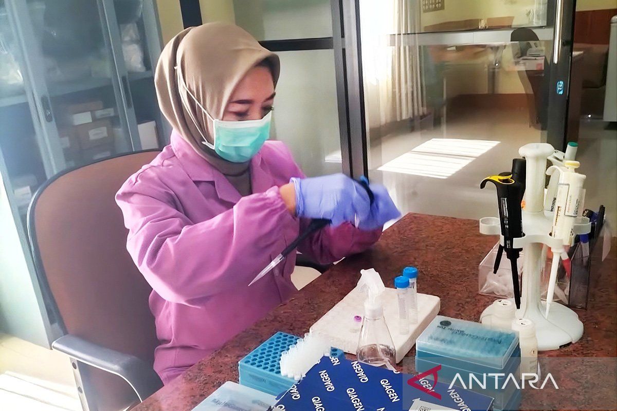 NTB Quarantine Agency Tightens Livestock Monitoring through PCR Testing