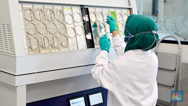 Surabaya-Based Paint Company Reports 12.5% Profit Increase to Rp503 Billion