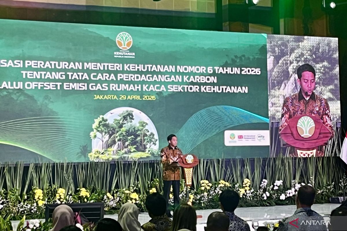 Forestry Minister Ensures Accountability and Transparency in Carbon Trading Process