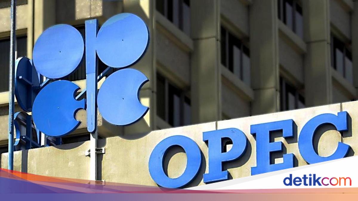Amid Energy Crisis, United Arab Emirates Exits OPEC