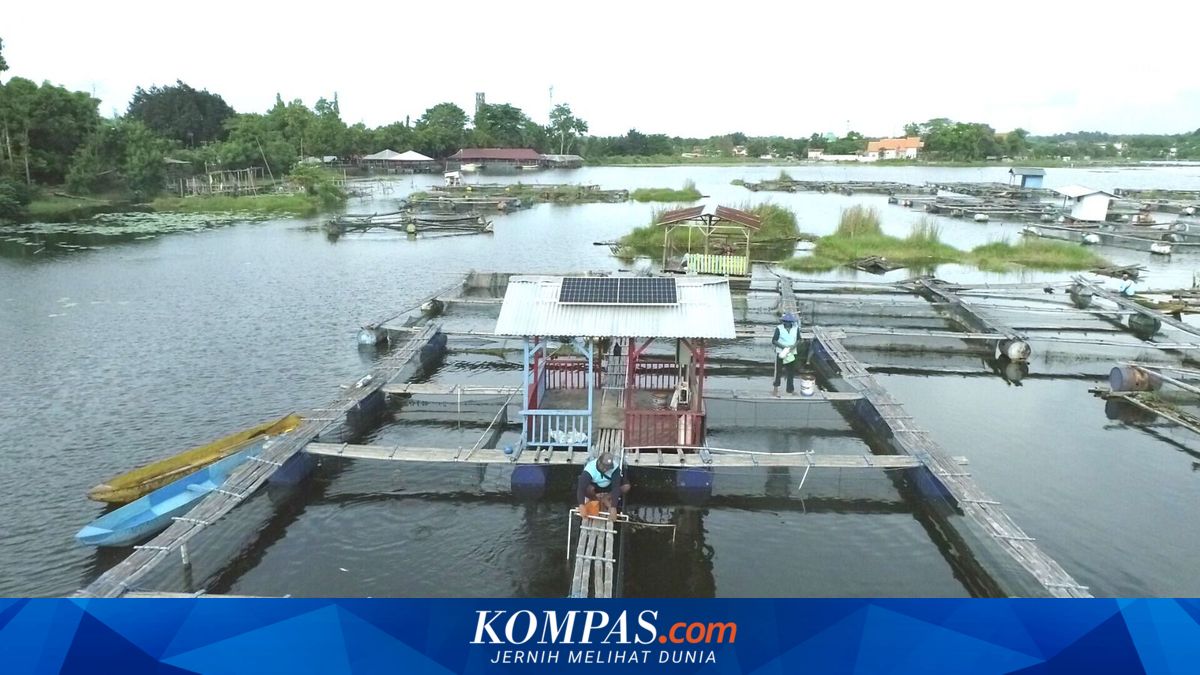 BKI Partners with PLN Indonesia Power to Explore Decarbonisation Collaboration