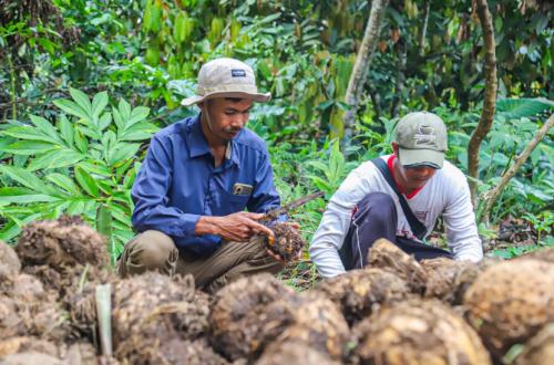 Impactful Campus Collaboration: Astra Promotes Leading Commodities in Regions