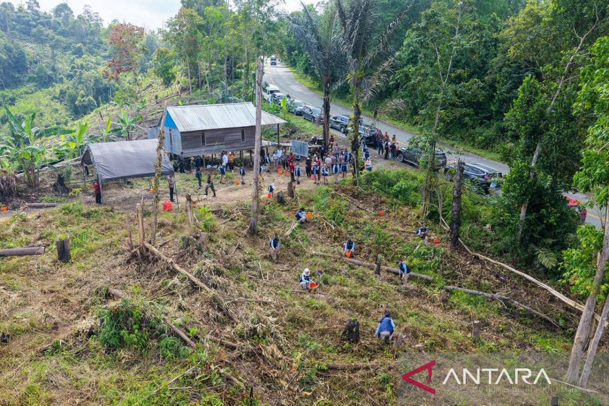 Authority preserves forest areas as foundation for IKN as a forest city