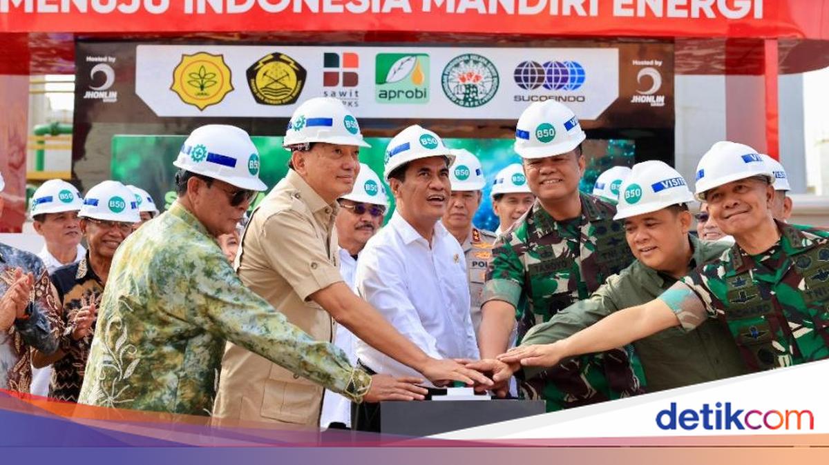 Rising Biodiesel Use Makes Palm Oil Supply Key to Energy Security