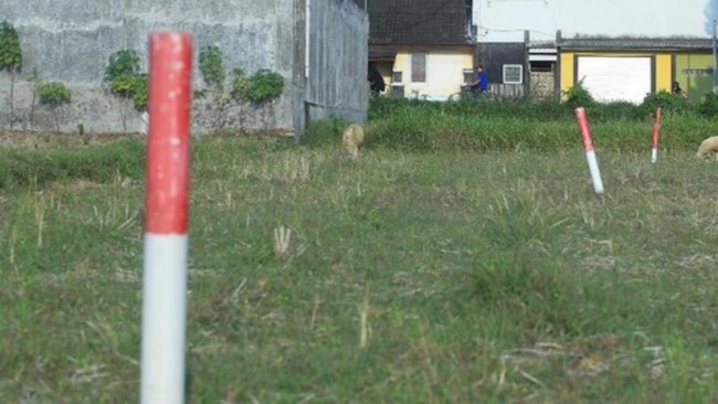Don't Let Your Land Disappear and Be Seized by Others: Take These Steps Immediately