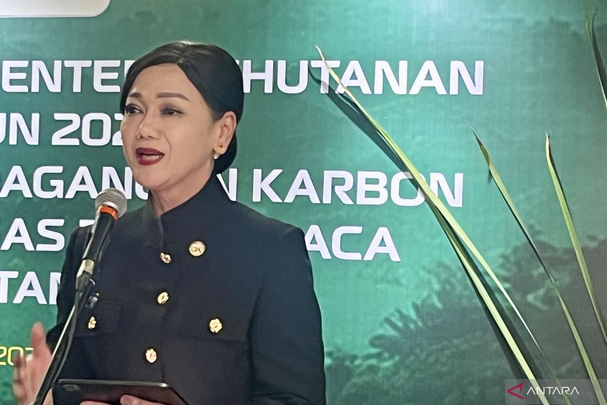 OJK Ready to Develop Indonesia's Carbon Trading Support System