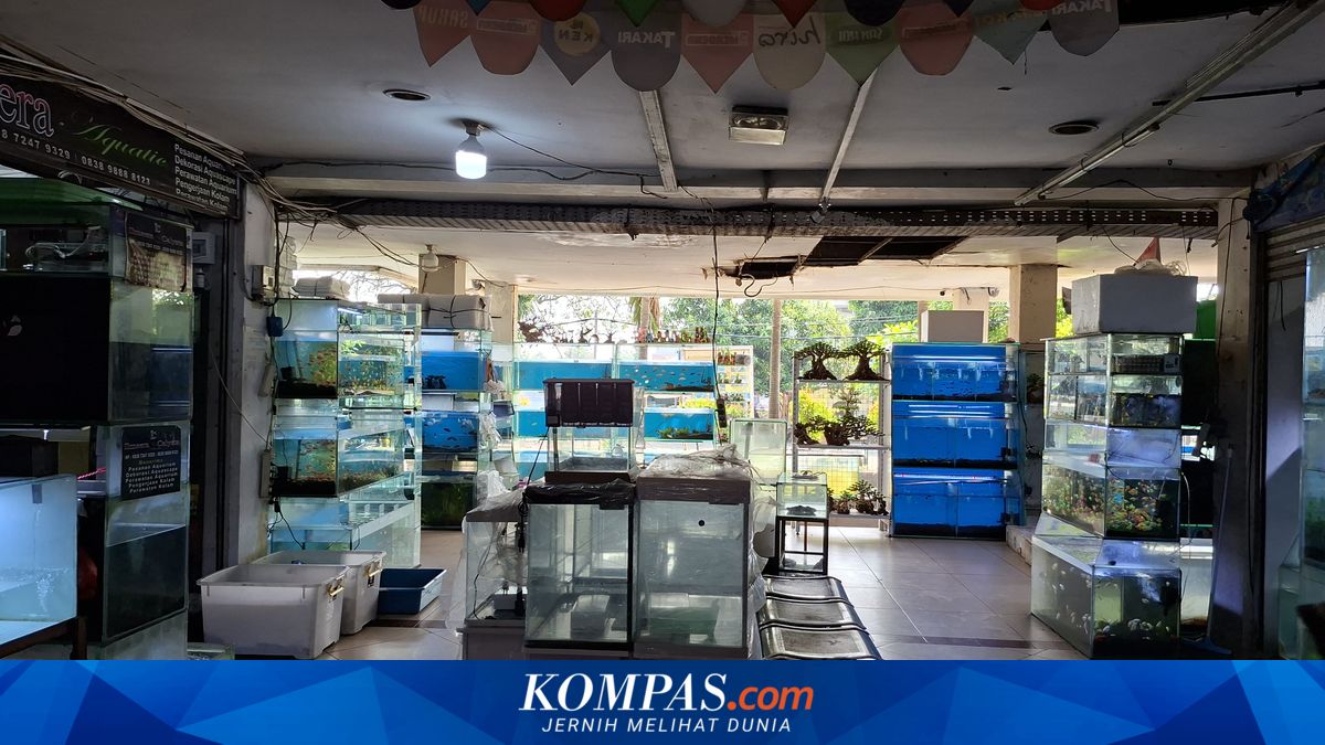 Once Buyers Were So Crowded There Was No Room to Sit, Now They Sit Around All Day