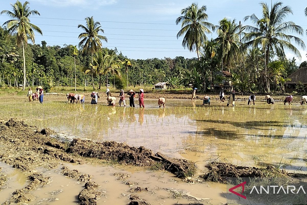 West Sumatra Allocates 60 Percent of Funds for Rehabilitating Land Affected by Disaster