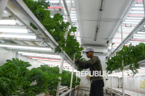 Why AGROFITRAH Becomes an Inevitability