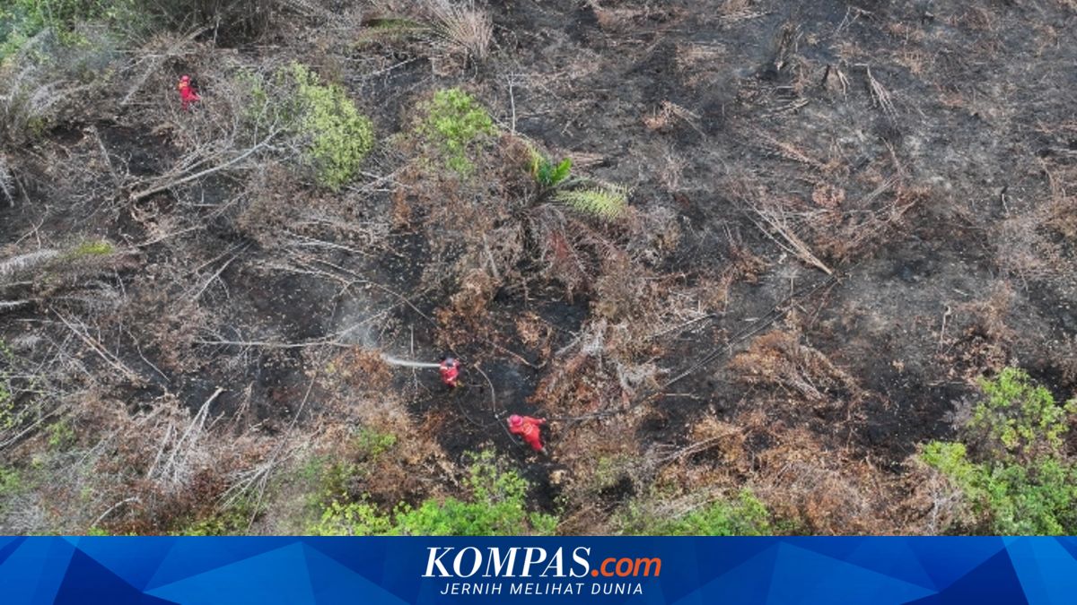 Godzilla El Niño 2026 Threatens Thousands of Hectares of Sumatra Peatlands