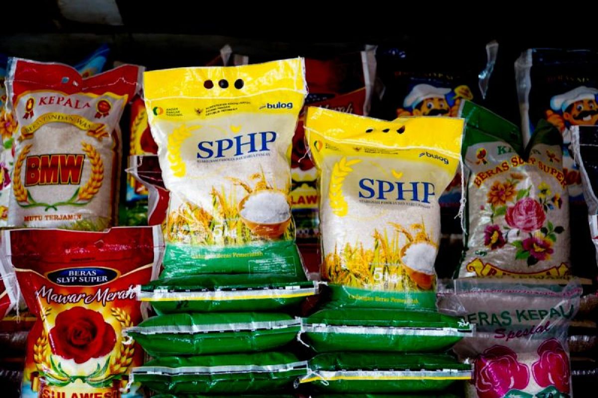 Bapanas affirms 371,000 tonnes of SPHP rice distributed since early 2026