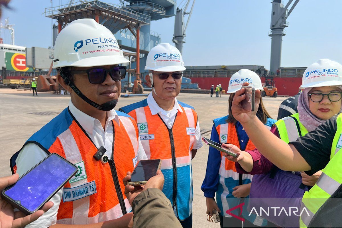 Tanjung Priok as Main Contributor to PTP Nonpetikemas Supporting Logistics
