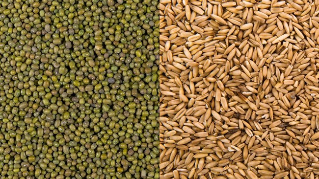 New Regulation Emerges: Wheat and Beans Imports Require Strict Permits, When Does It Start?