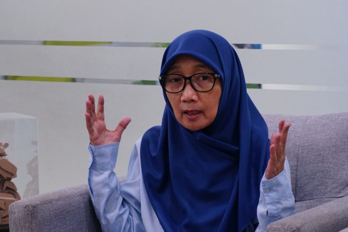 ITS Expert: Level Crossings Are Not an Effective Solution to Prevent Accidents