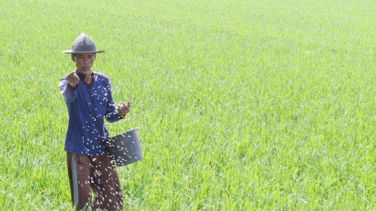 Understanding Biofertilisers: Types, Benefits and Their Role in National Food Security