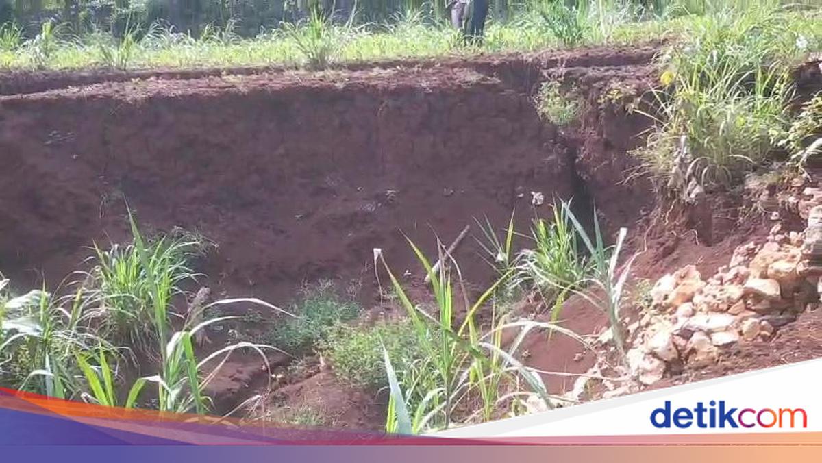 10-Metre Wide Sinkhole Appears in Girisubo, Gunungkidul