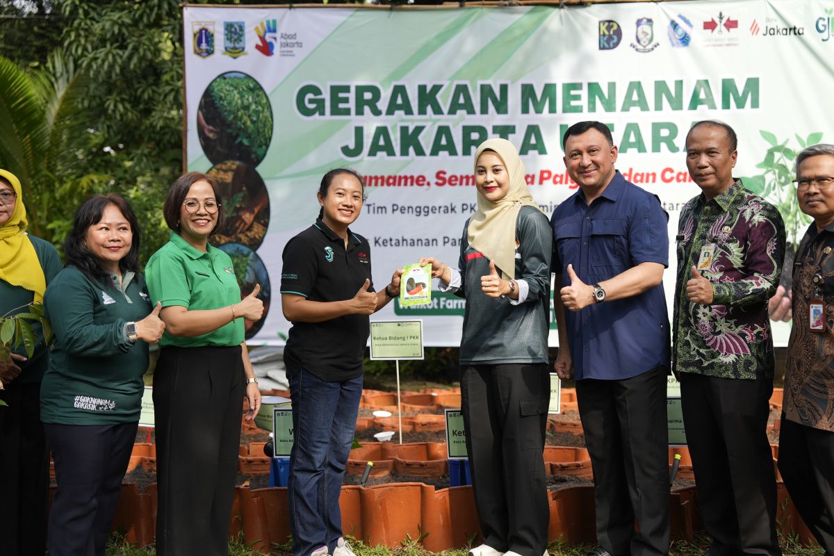 Mayor urges residents to utilise vacant land for food security