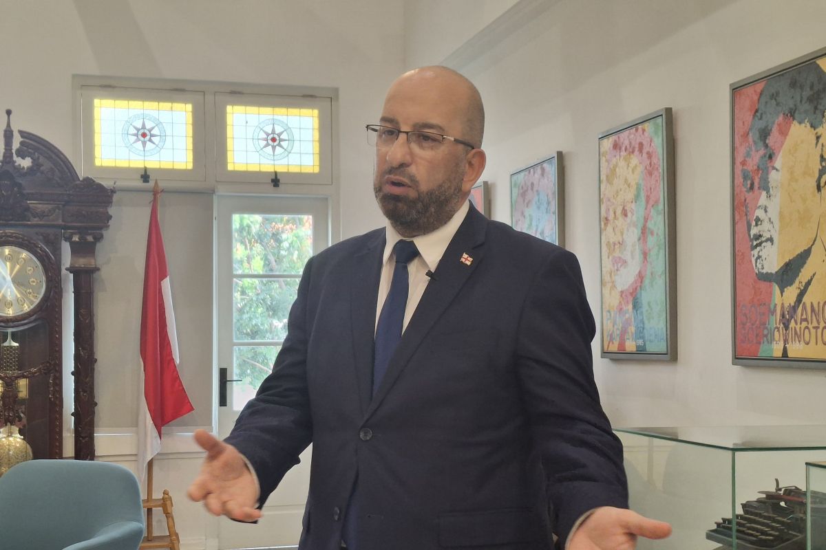 People-to-people ties key to Georgia-Indonesia relations: envoy