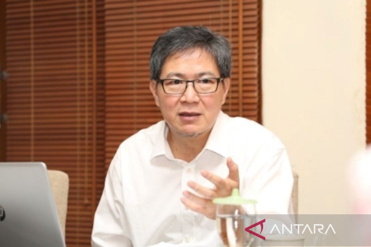 IPB Academic: Increasing Local Cattle Productivity Needs to Be Accelerated