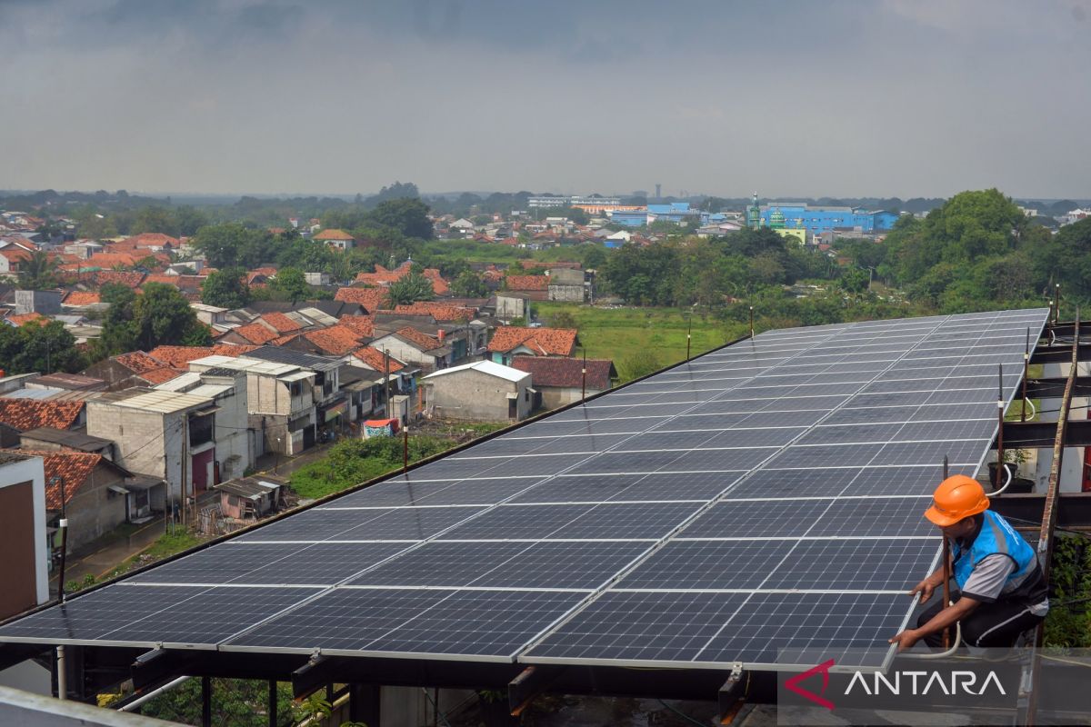 Power Plant Entrepreneurs Ready to Support Energy and Food Security