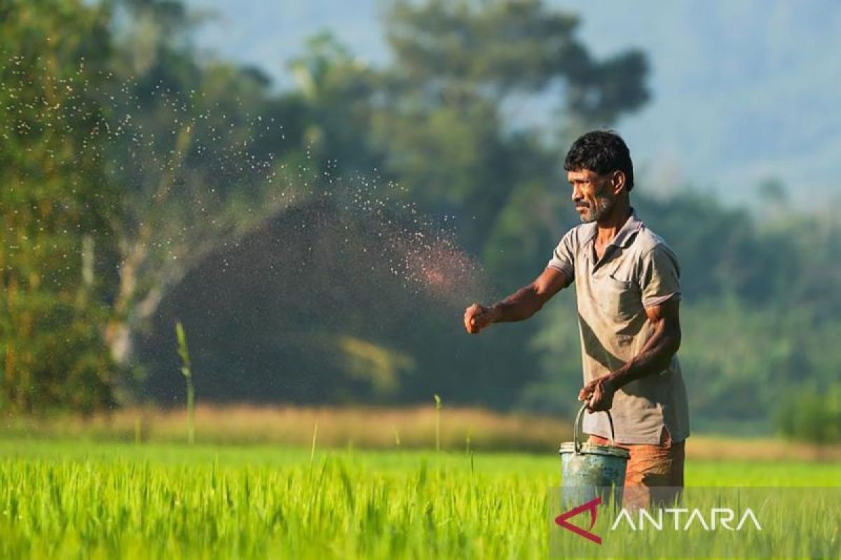Organic fertiliser boosts harvest yields amid escalating Middle East conflict