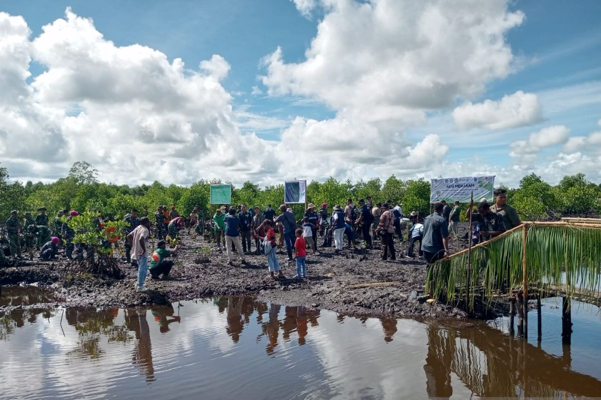 PBD Plants 36,000 Mangrove Seedlings as Climate Change Mitigation Action