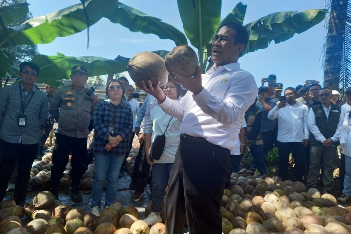 Agriculture Minister conducts surprise inspection of coconut seed development in North Sulawesi
