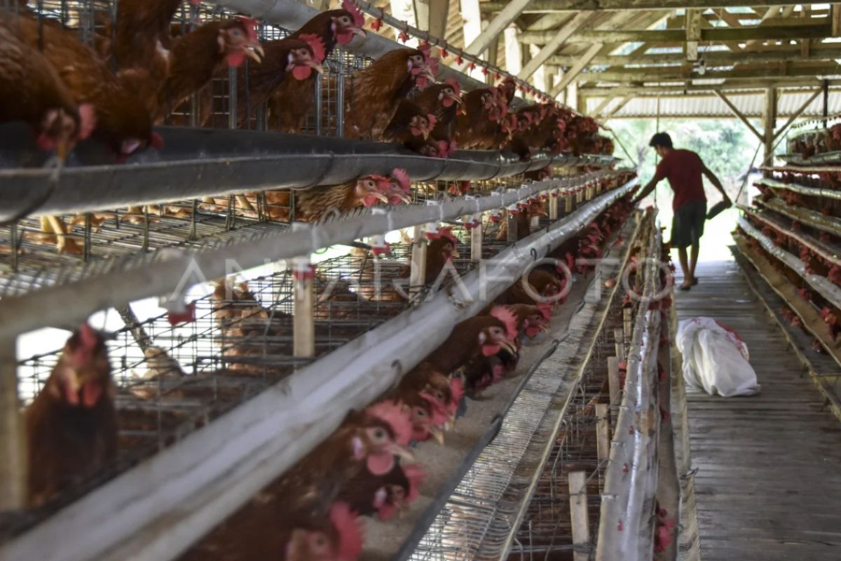 UGM Emphasises Cross-Border Collaboration to Address Livestock Sector Challenges