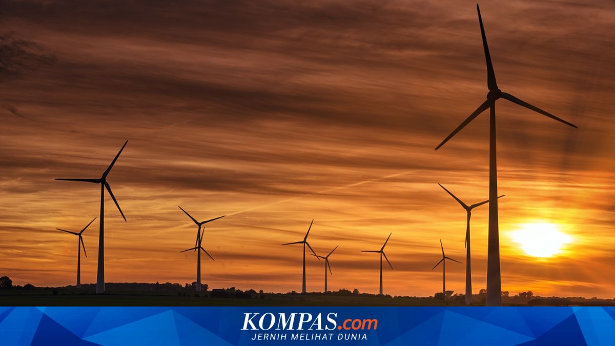 Global Crisis Accelerates Indonesia's Energy Self-Sufficiency