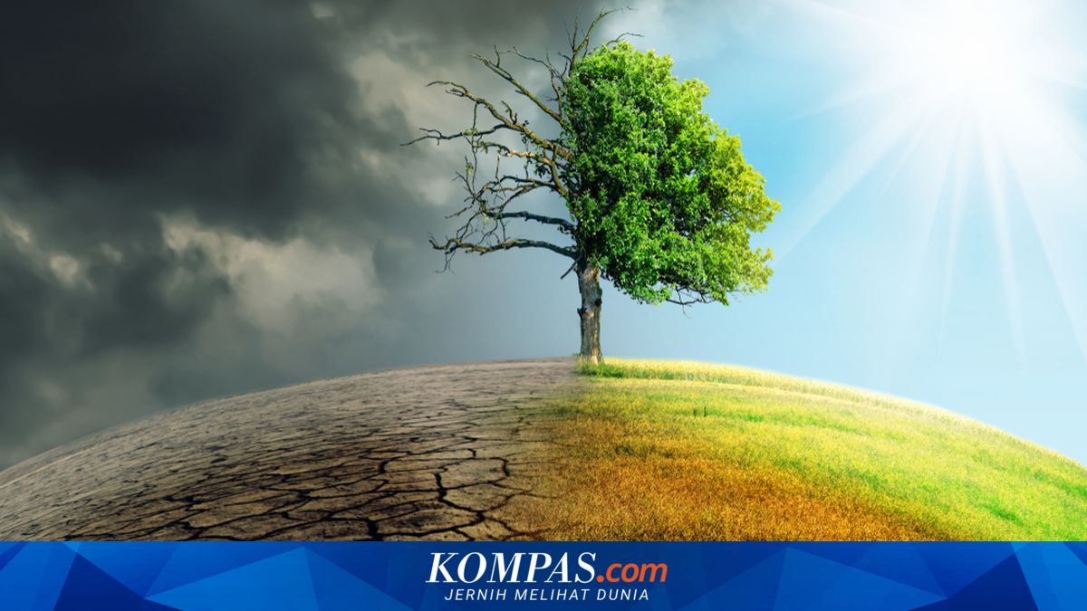 Sustainable Finance Becomes Key to Addressing Climate Risks