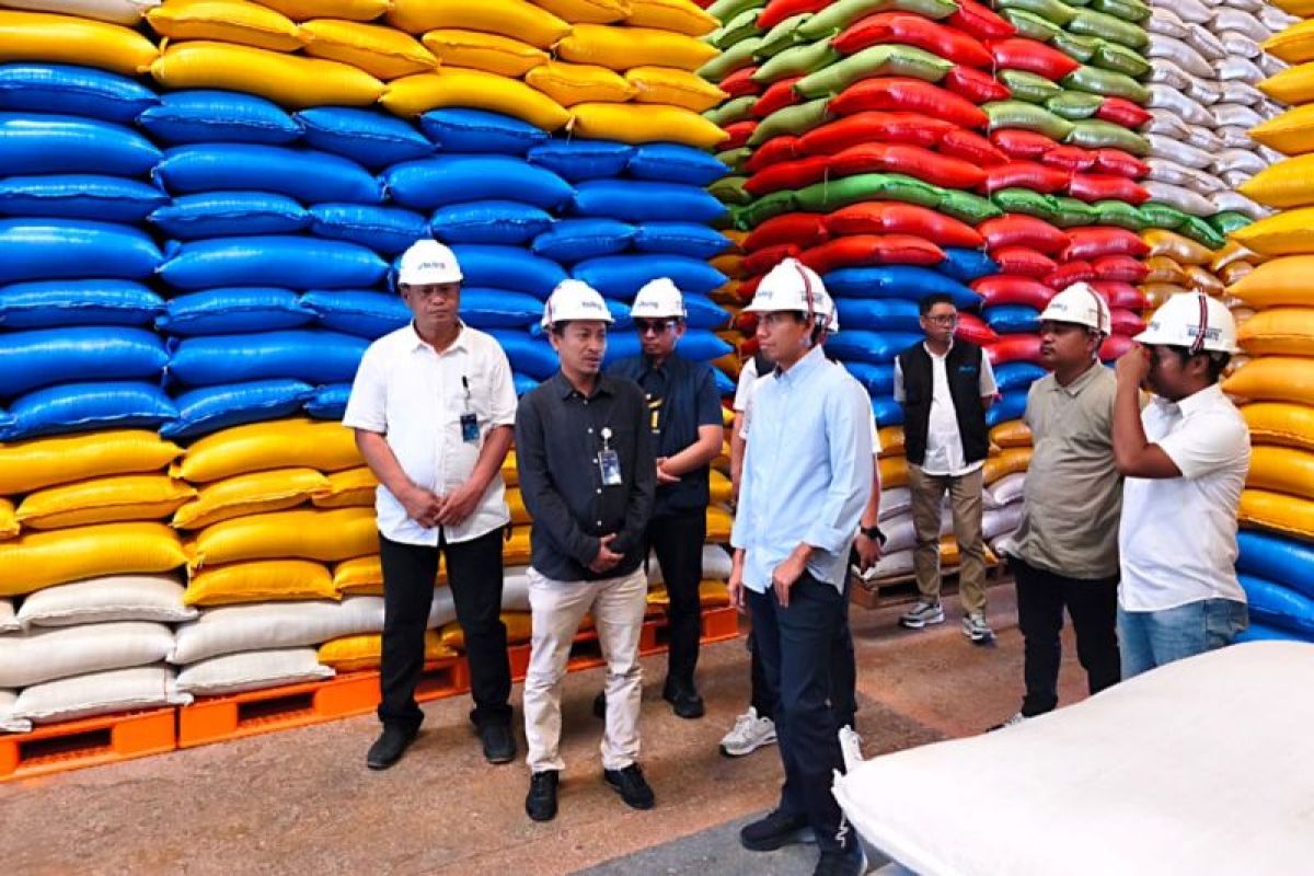 Indonesian Parliament Member Inspects Rice Stock at Bulog Kolaka Warehouse