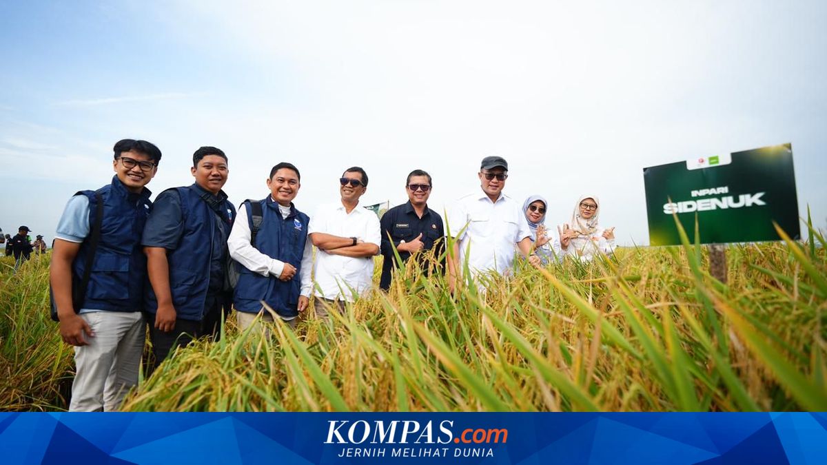 BRIN's Nuclear Irradiation-Mutated Rice Seeds Ready for Industrial Production