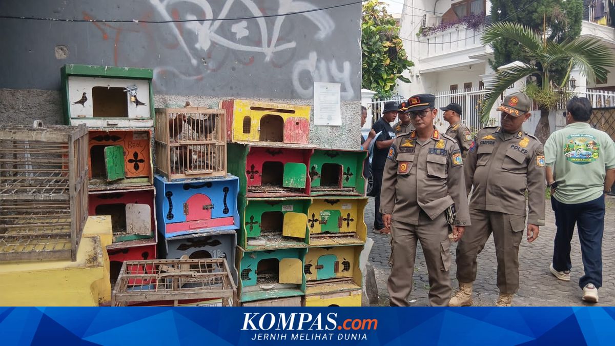Dozens of Birds and Cages Seized in East Jakarta, Strong Odour and Scattered Droppings