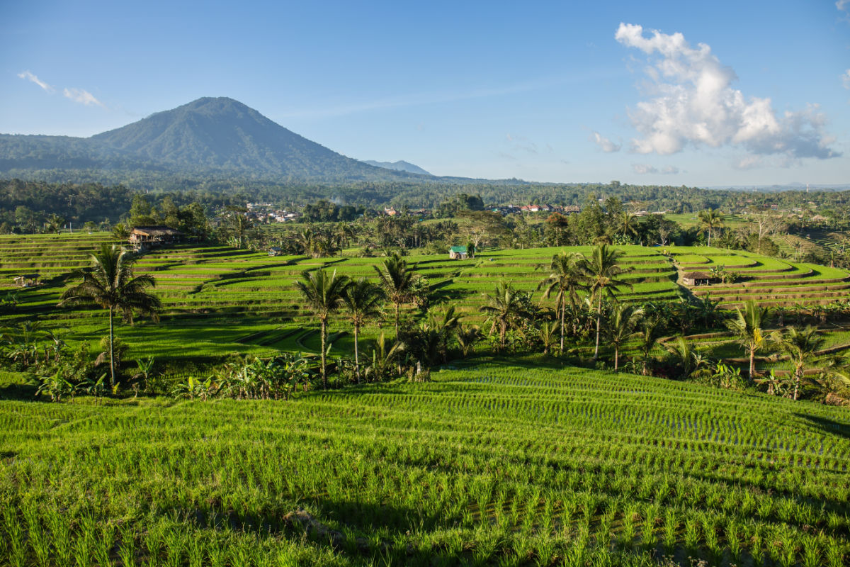 VAT Cut on Domestic Bali Flights Offers Tourists Chance to Explore More of Indonesia on Vacation