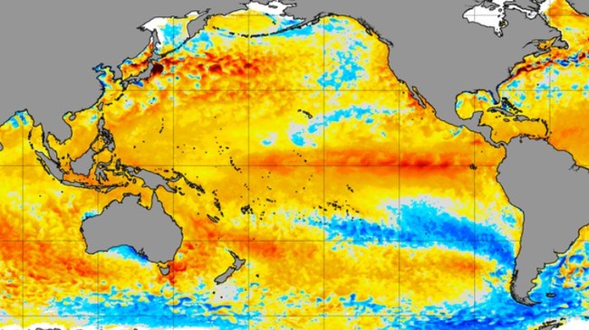 Super El Niño Looms, Not Just Heat but Also Thinning Wallets