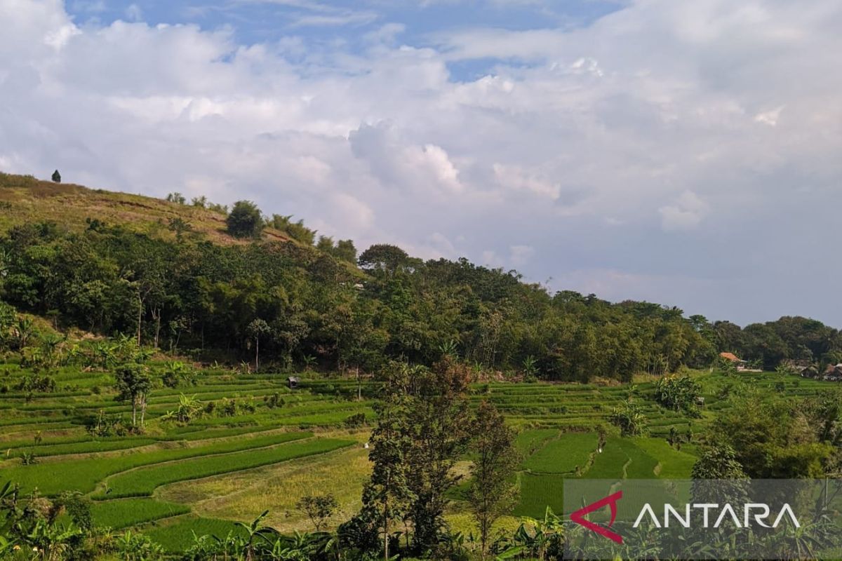 Legislator: Prosperity of Upstream Communities Key to Controlling Floods in Bandung