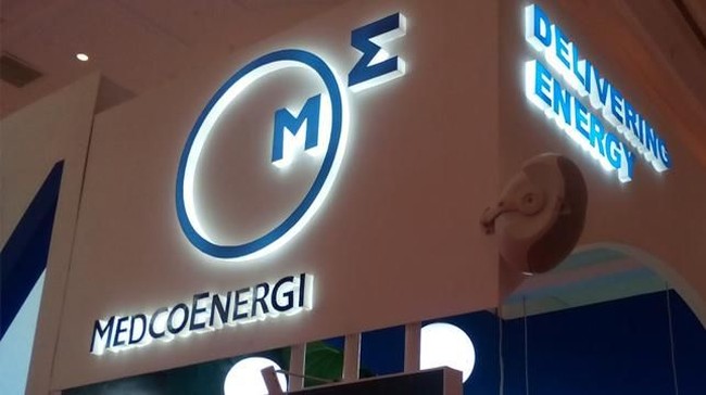 Medco (MEDC) Performance Overshadowed by Interest Burden
