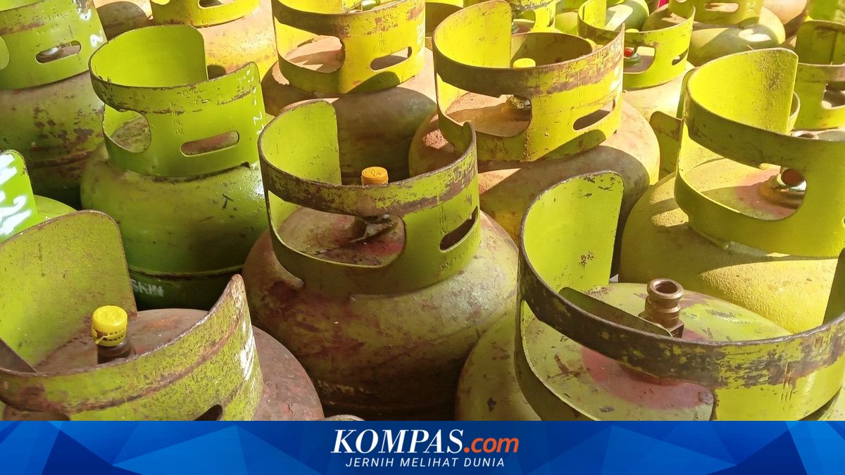 Legislator Highlights Government's Strategy to Mitigate Impact of Rising Energy Prices