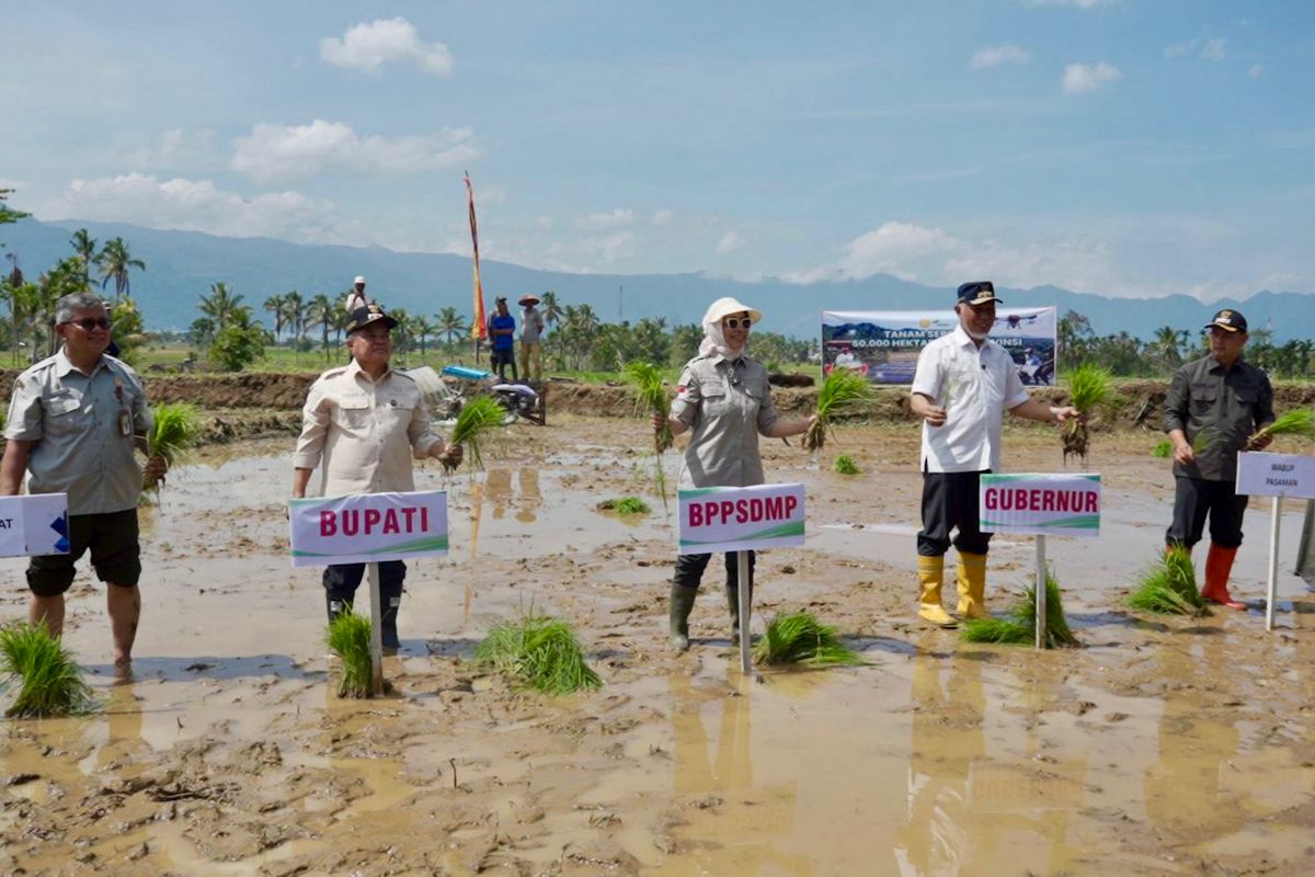 Ministry of Agriculture Accelerates Simultaneous Rice Planting in 25 Provinces to Boost Production
