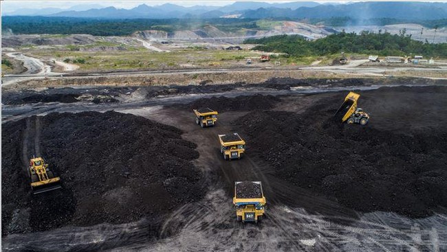 Coal Prices Remain Resilient: Signs of an Imminent Surge?
