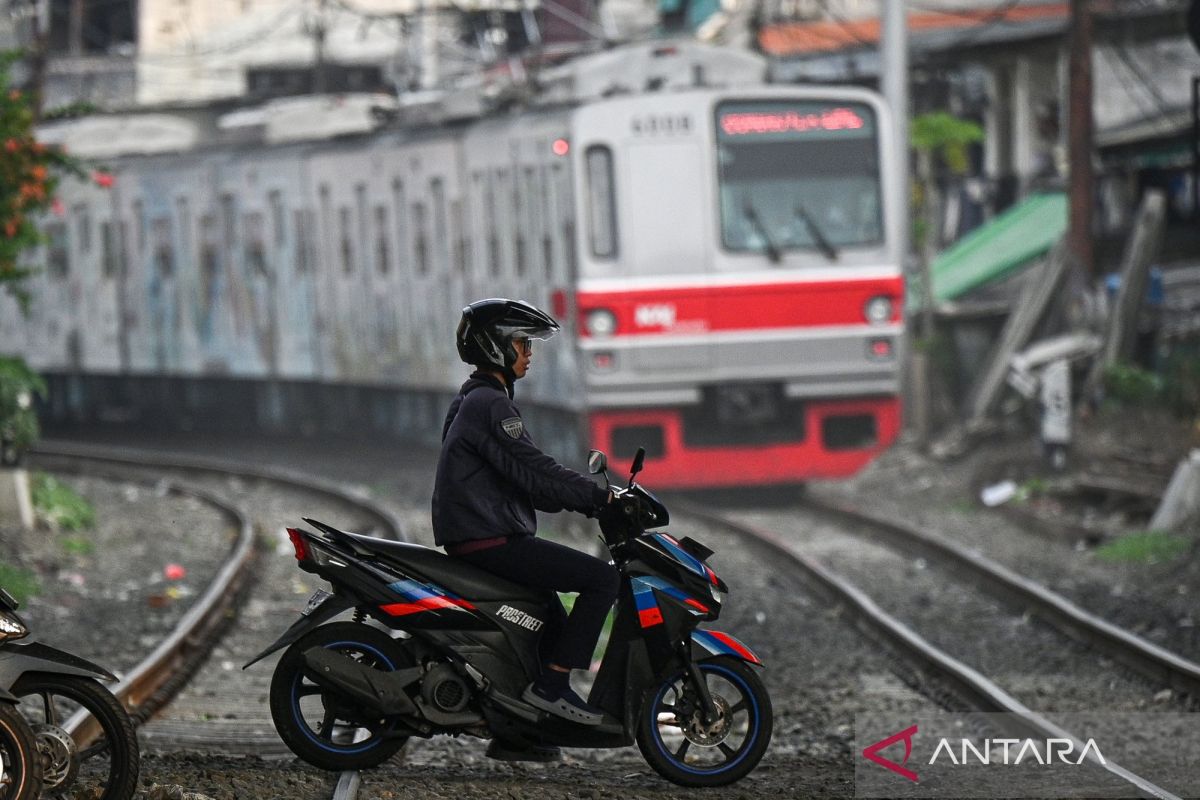 Expert highlights importance of central-local synergy to address illegal level crossings