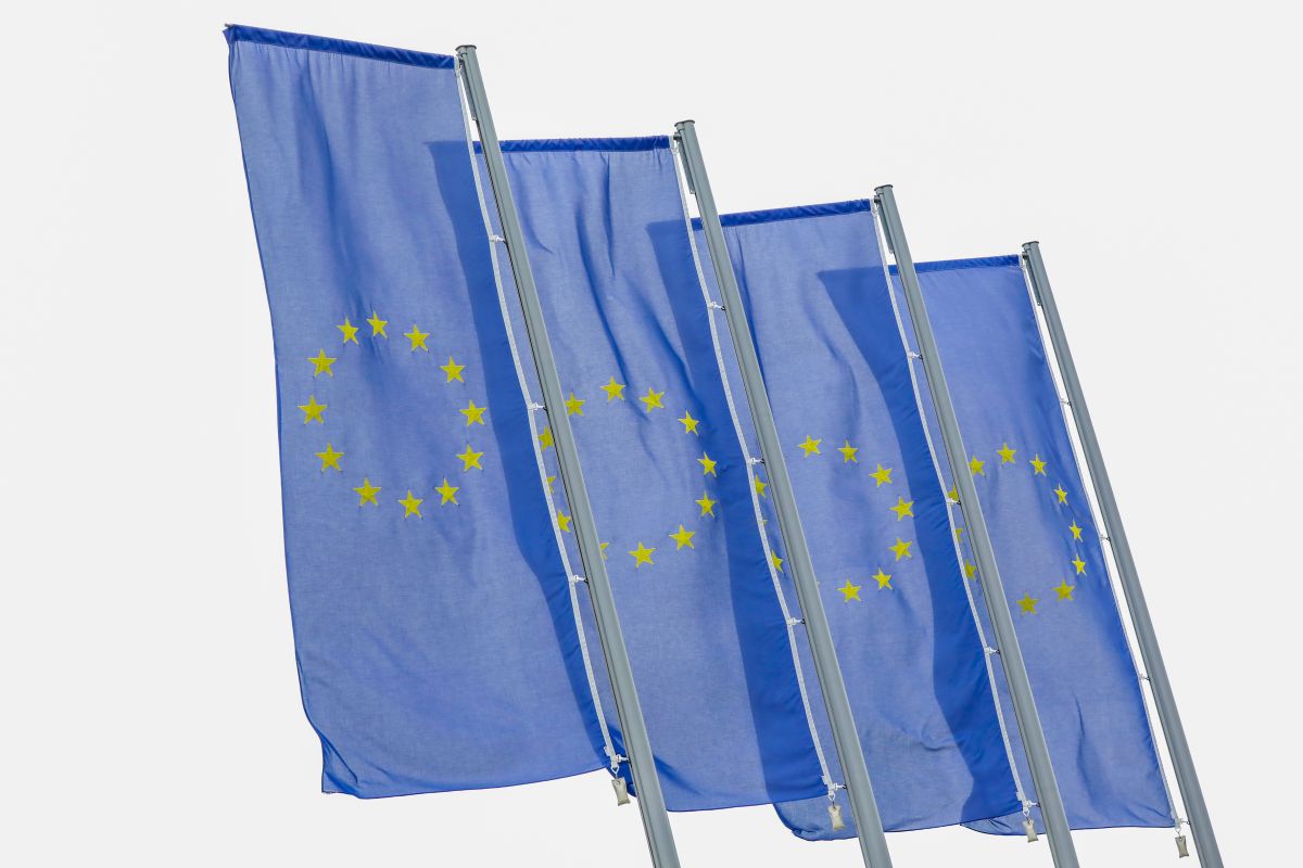 German Defence Minister says EU must shoulder greater security responsibility