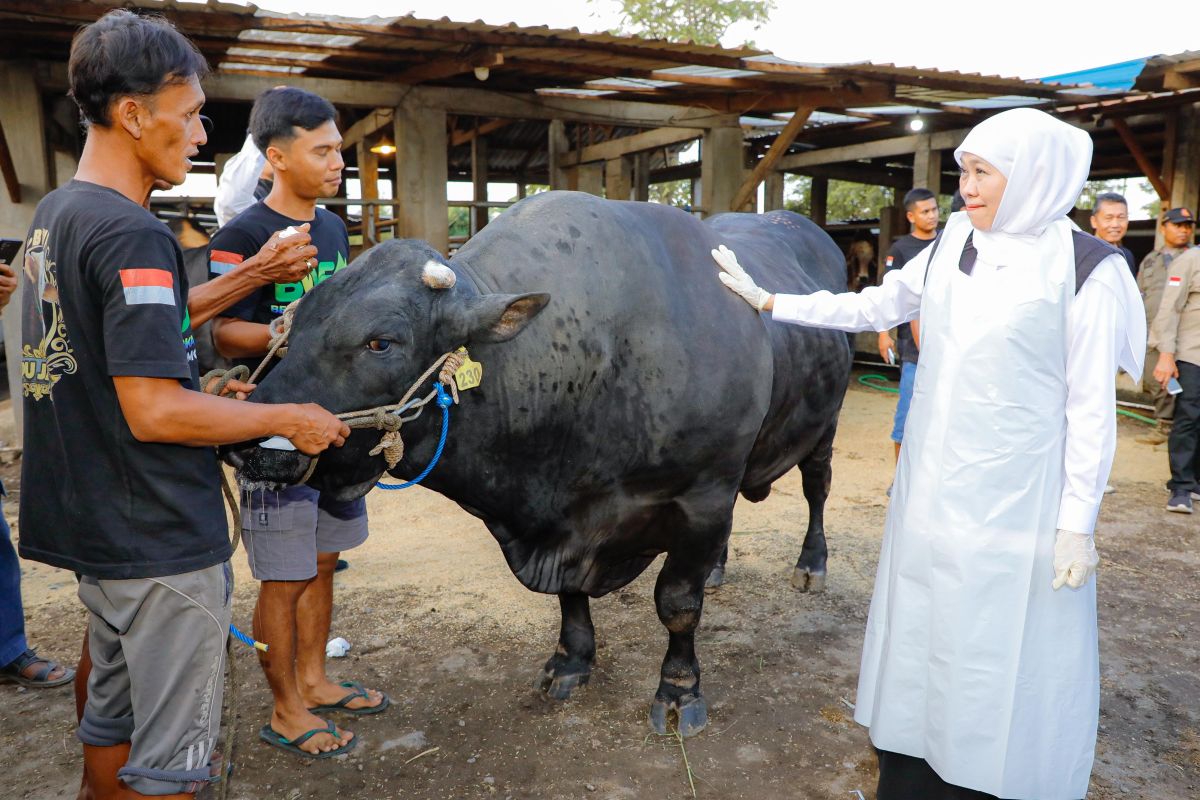 Governor Khofifah urges East Java breeders to meet global meat demand