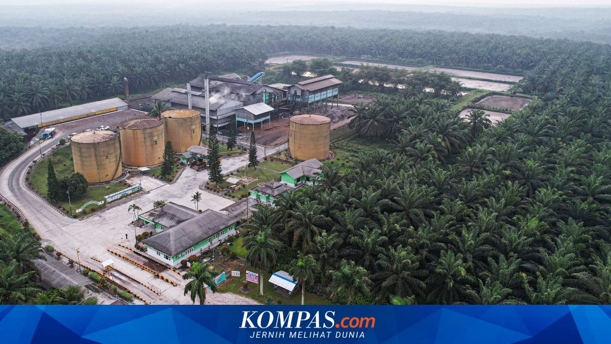 BWPT Records Revenue of Rp 1.38 Trillion in Q1 2026, Here Are the Supporting Factors